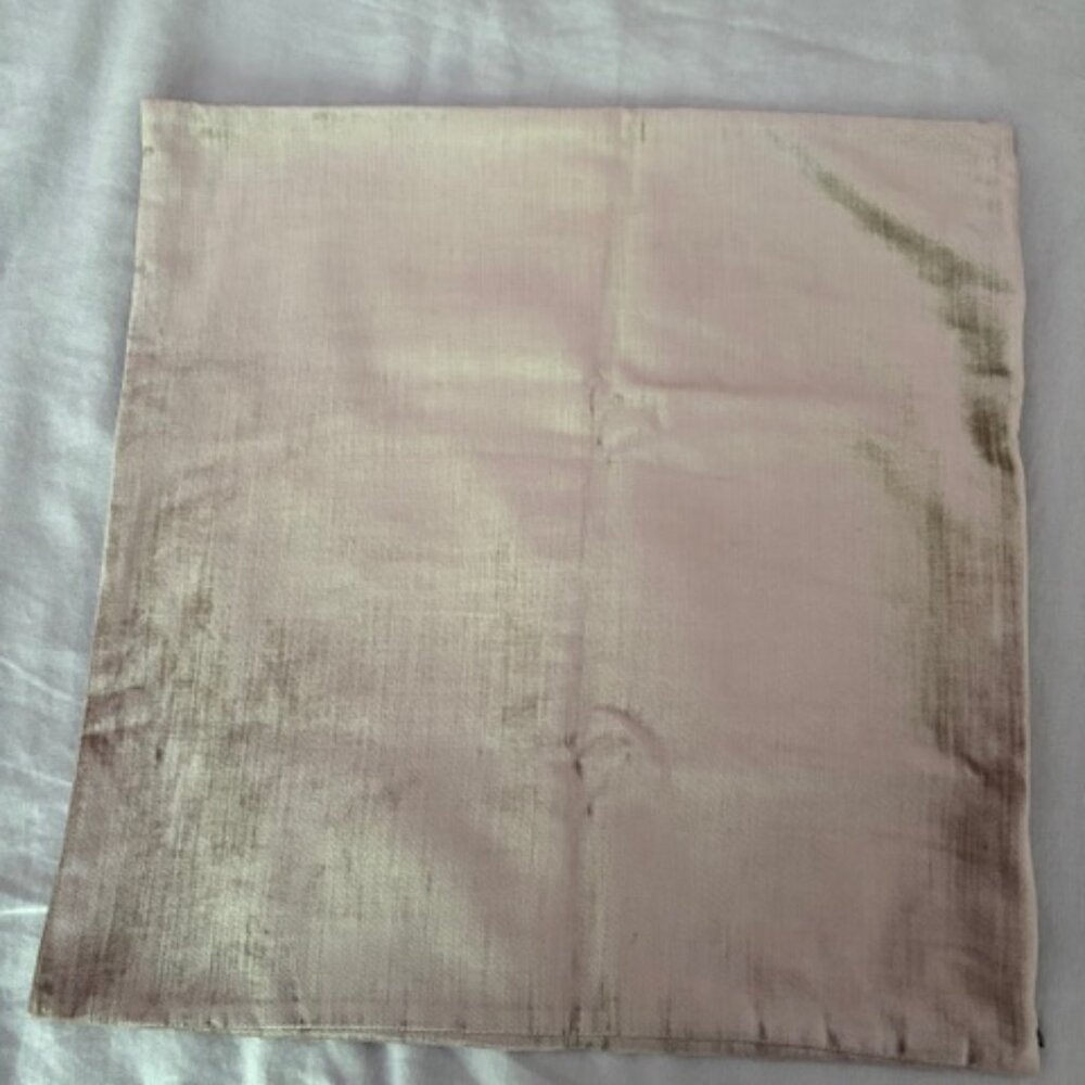 West Elm Luster Velvet Pillow Cover - Platinum color